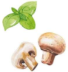 water-basil-shroom