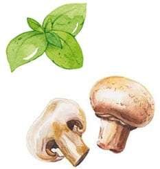 water-basil-shroom
